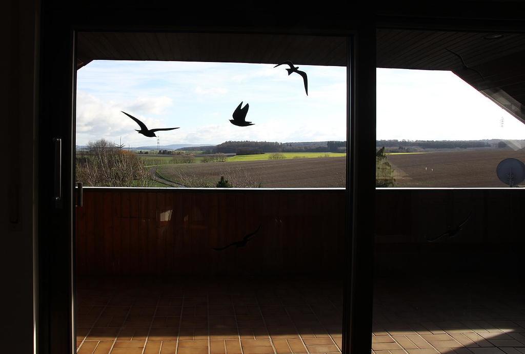 Ferienwohnung Panoramaweg Sohren Exterior foto